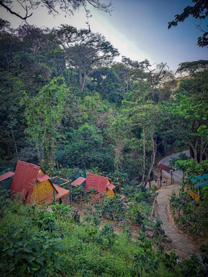 Eco Cabin - Tanoa Minca Hotel Екстериор снимка